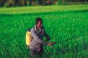 pesticides_man-7553438