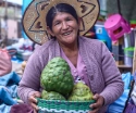 raices-resistencia